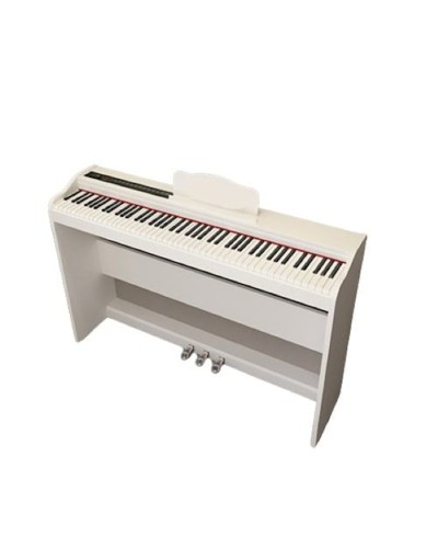 Piano DP90 Digital, ağ