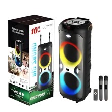 Portativ dinamik TTD-1002