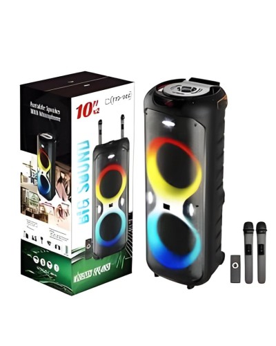 Portativ dinamik TTD-1002