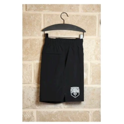 Шорты для болельщиков Nike DV9340-010, черный, текстиль, размер L