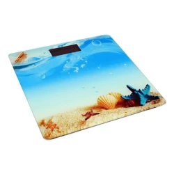 Напольные весы RM-1000/01 Напольные весы RM-1000/01