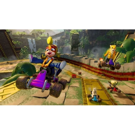 Игра Activision Games CTR (Crash Team Racing) Nitro Fueled Nintendo Switch
