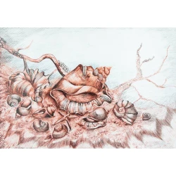 Qrafika Art by Ulviya Kakhramanova Balıqqulağı UK0046, kağız, qələm, 30х40 sm