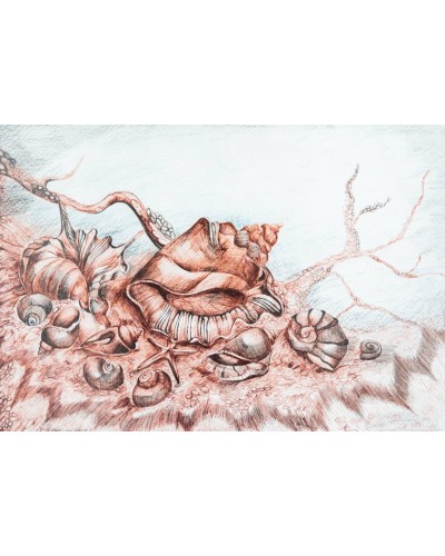 Qrafika Art by Ulviya Kakhramanova Balıqqulağı UK0046, kağız, qələm, 30х40 sm