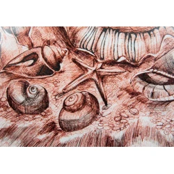 Qrafika Art by Ulviya Kakhramanova Balıqqulağı UK0046, kağız, qələm, 30х40 sm