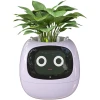 Ağıllı dibçək IVY Smart Flower Pot