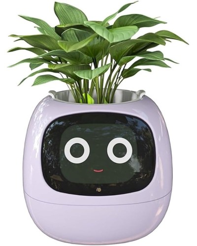 Ağıllı dibçək IVY Smart Flower Pot