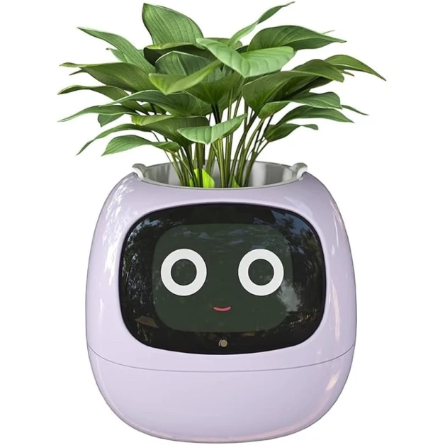 Ağıllı dibçək IVY Smart Flower Pot
