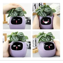 Умный горшок Smart IVY Flower Pot