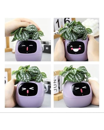 Ağıllı dibçək IVY Smart Flower Pot