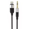 Кабель AUX Earldom ET-AUX54 Mini Jack 3.5mm - Lightning Black 1 м