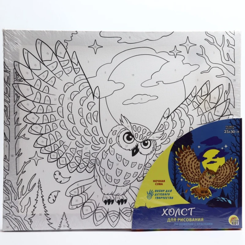 Холст по номерам Рыжий Кот Ночная Сова, 25x30 см