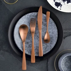 Набор столовых приборов CS Kochsysteme Bocholt Rose Gold, на 6 персон, 24 предмета, нержавеющая сталь, золотистый