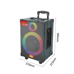 Portativ dinamik Sing-e JQS910L