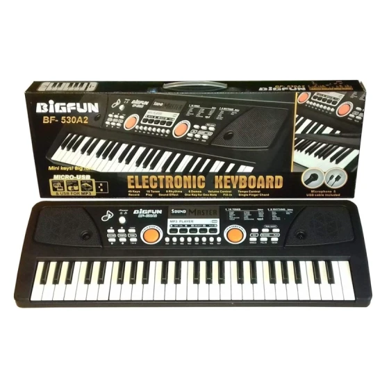 Синтезатор Bigfun BF-530A2, с микрофоном, черный Синтезатор Bigfun BF-530A2, с микрофоном, черный