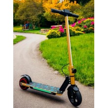 Elektrik skuter Segway Baku M5277-2, qızılı