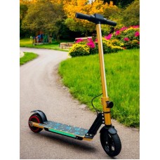Elektrik skuter Segway Baku M5277-2, qızılı