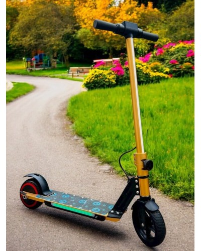 Elektrik skuter Segway Baku M5277-2, qızılı