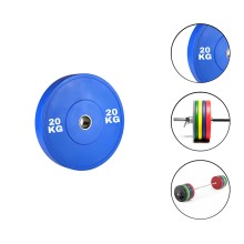 Disk Ironflex 1573/1 20 kq, dəmir/PVC, dəliyin diametri 50 mm, mavi