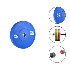 Disk Ironflex 1573/1 20 kq, dəmir/PVC, dəliyin diametri 50 mm, mavi