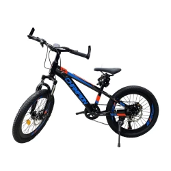 Детский велосипед Champion 20 B2, черный/синий