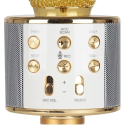 Микрофон-караоке WS-858, ассортимент Микрофон-караоке WS-858, ассортимент