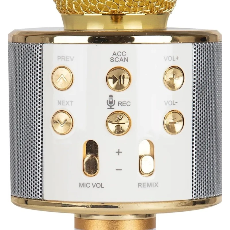 Микрофон-караоке WS-858, ассортимент Микрофон-караоке WS-858, ассортимент