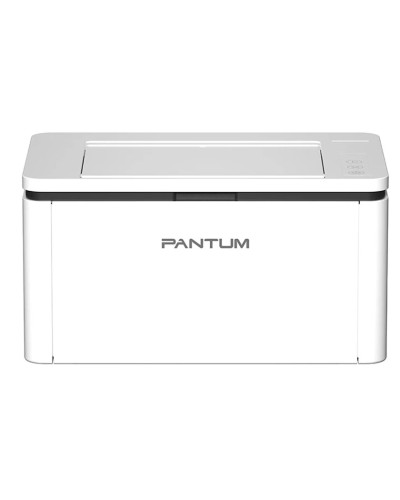 Printer Pantum BP2300, ağ