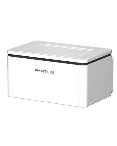 Printer Pantum BP2300, ağ