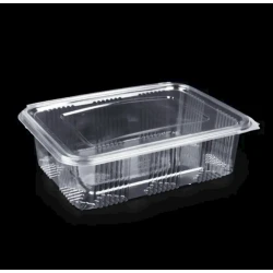 Набор одноразовых контейнеров Loyal 1375978829, полиэтилентерефталат, прозрачный, 34.8х23.2х7.25 см, 100 шт Набор одноразовых контейнеров Loyal 1375978829, полиэтилентерефталат, прозрачный, 34.8х23.2х7.25 см, 100 шт