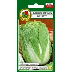 Семена овощей PNOS Пекинская капуста Bristol 2 г