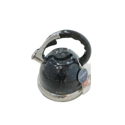 Чайник HausRoland HMSD_Q1245 черный, 4500 мл