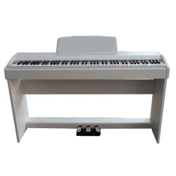 Пианино Allegro AG-F8820C Digital