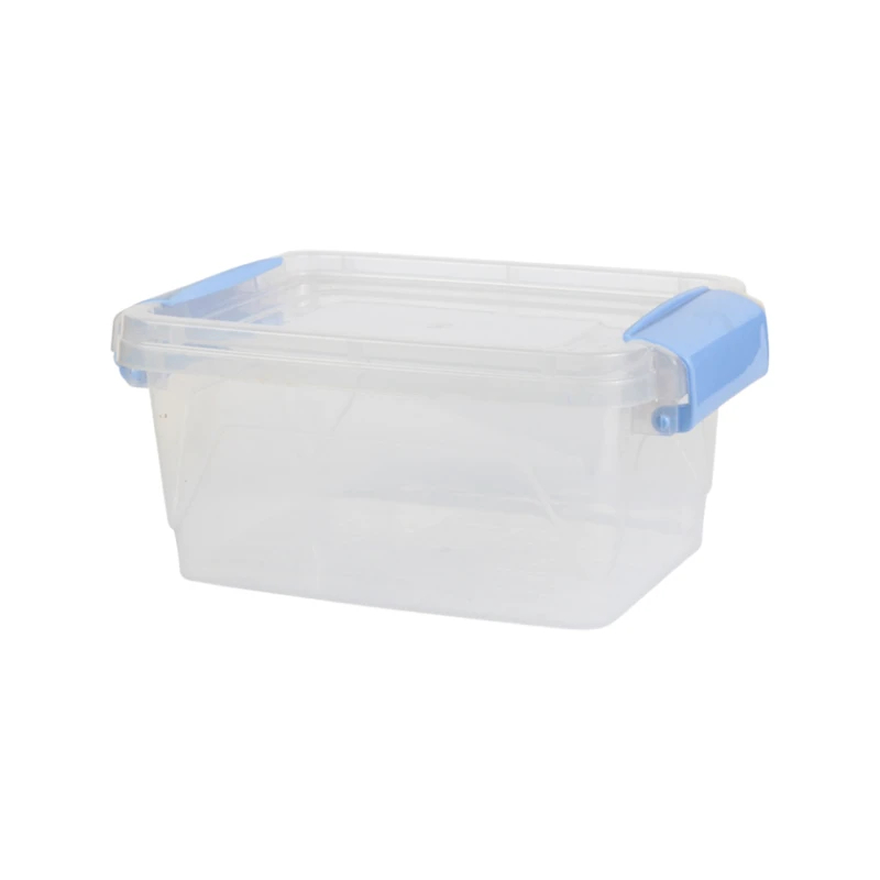 Konteyner 6542, 2 l, şəffaf