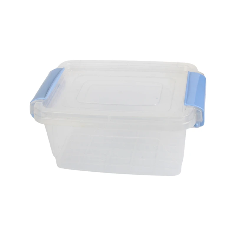 Konteyner 6542, 2 l, şəffaf