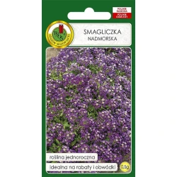 Семена цветов PNOS Smagliczka Nadmorska, фиолетовые, 0.5 г