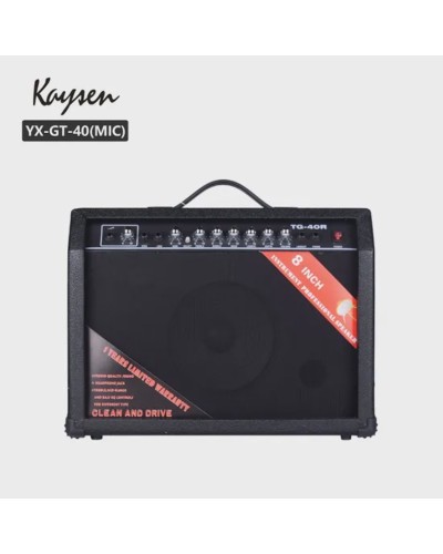 Kombo gücləndirici Smiger TG-40-MIC - TG-40 MİC