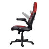 Геймерское кресло Trust GXT 703R Riye (24986)