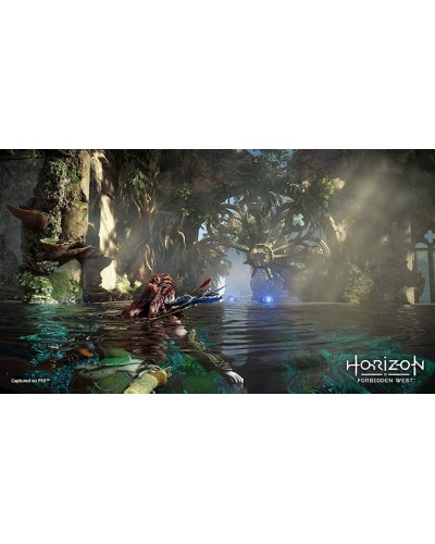 Oyun Horizon Forbidden West PS 4