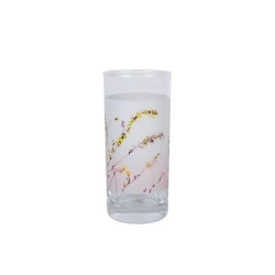 Stəkan dəsti Luminarc Trompette, 6 əd, 270 ml, şüşə