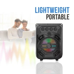 Portativ dinamik ZQS 1315 Black