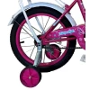 Uşaq velosipedi Sweet Girl 12 Uşaq velosipedi Sweet Girl 12
