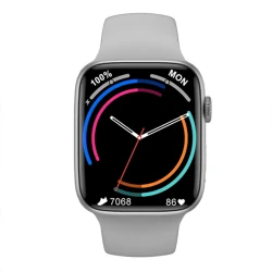 Smart saat IWO DT7 Max Silver