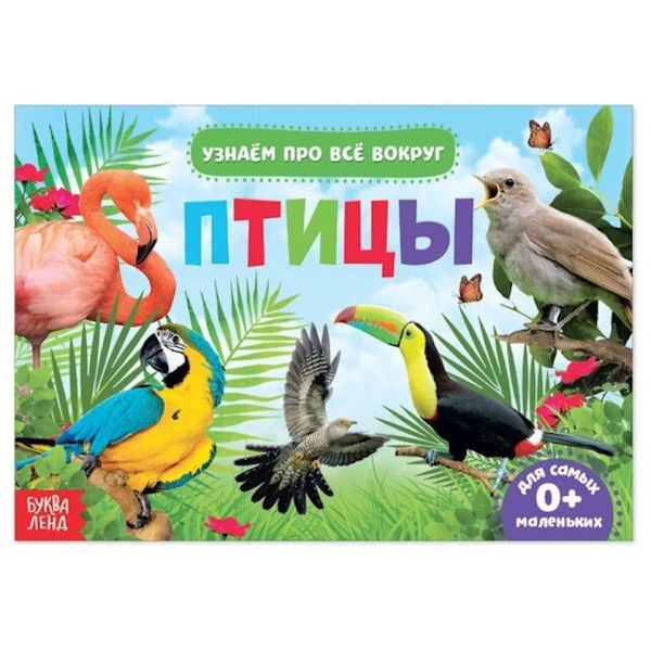 Книга Буква-ленд Птицы Узнаем про всё вокруг, А. Бажева, Е. Обоскалова, А. Штемберг Книга Буква-ленд Птицы Узнаем про всё вокруг, А. Бажева, Е. Обоскалова, А. Штемберг
