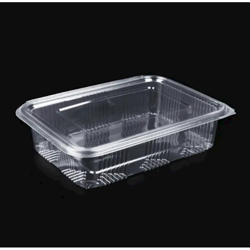 Набор одноразовых контейнеров Loyal 3516846480, полиэтилентерефталат, прозрачный, 34.8х23.2х6.35 см, 25 шт