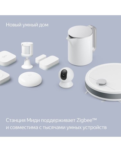 Ağıllı dinamik Yandex Midi (YNDX-00054PNK)