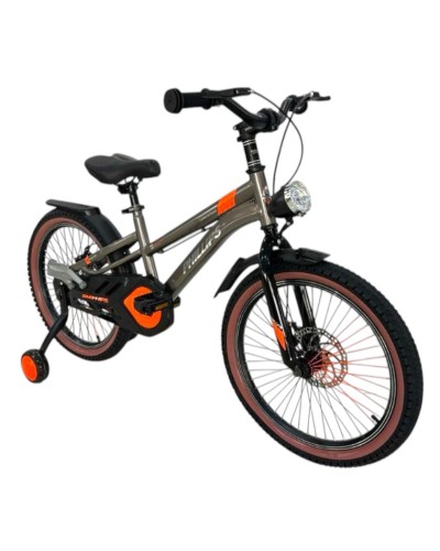 Uşaq velosipedi Phillips P-133 RB, 20