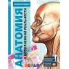 Ensiklopediya Devar 4D Анатомия, müəllif Ю.Петрова/Н.Банникова