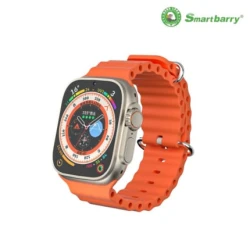 Ağıllı saat Smartbarry C98 Golden