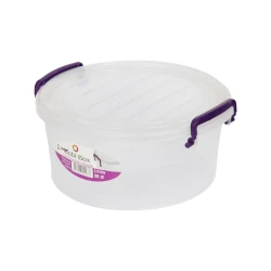 Konteyner SP_6215, 20x21x10 sm, şəffaf